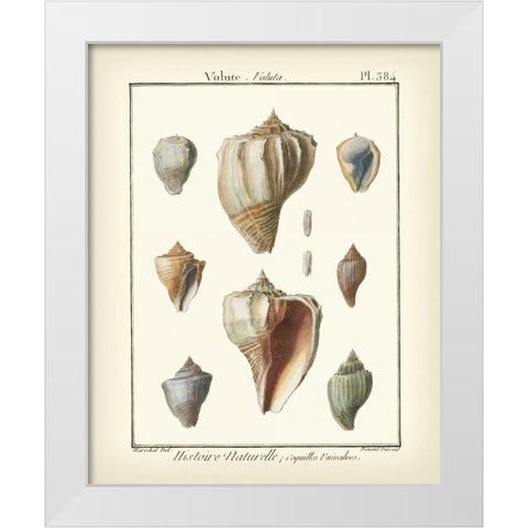 Volute Shells, Pl.384 White Modern Wood Framed Art Print by Diderot, Denis