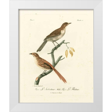 Antique French Birds I White Modern Wood Framed Art Print by de Langlois