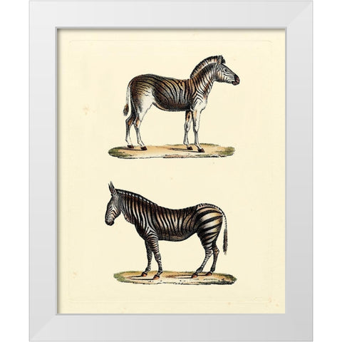 Animal Studies I White Modern Wood Framed Art Print by Vision Studio