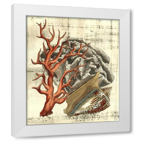Neptunes Composition II White Modern Wood Framed Art Print by Vision Studio