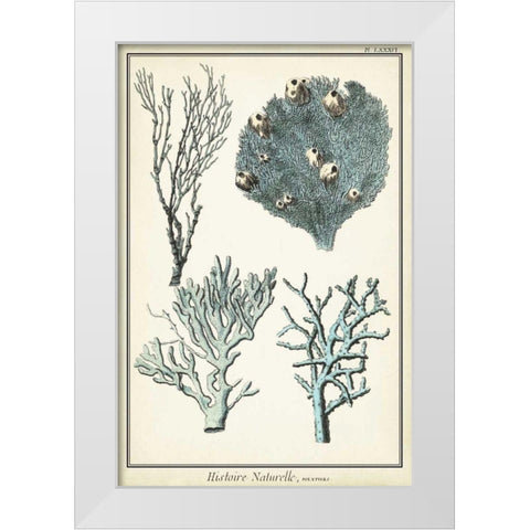 Coral Species II White Modern Wood Framed Art Print by Vision Studio