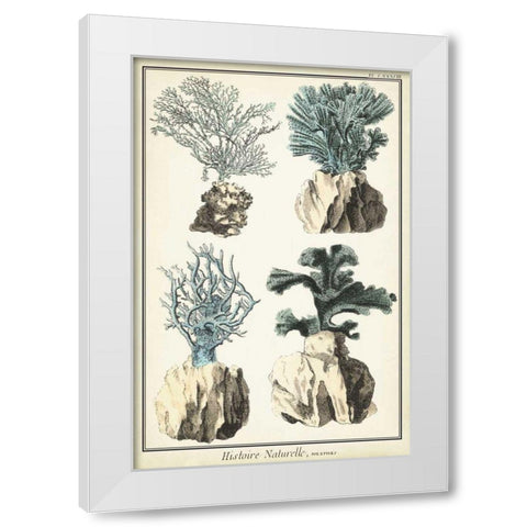 Coral Species III White Modern Wood Framed Art Print by Vision Studio