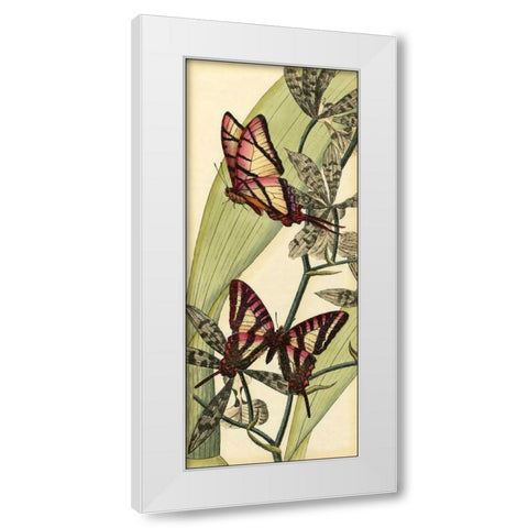 Butterfly Beauty II White Modern Wood Framed Art Print by Vision Studio