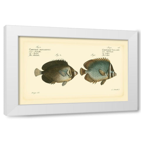 Bloch Antique Fish V White Modern Wood Framed Art Print by Bloch