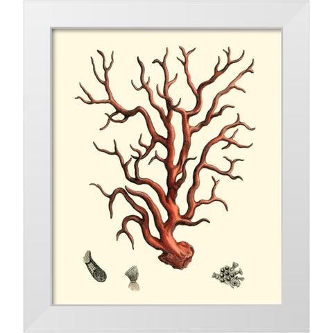 Red Coral I White Modern Wood Framed Art Print by Vision Studio