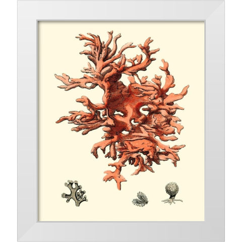 Red Coral III White Modern Wood Framed Art Print by Vision Studio