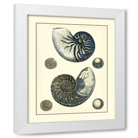 Antique Blue Nautilus White Modern Wood Framed Art Print by Vision Studio