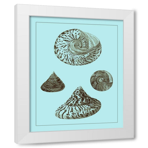 Tinted Shells on Aqua IV White Modern Wood Framed Art Print by Vision Studio