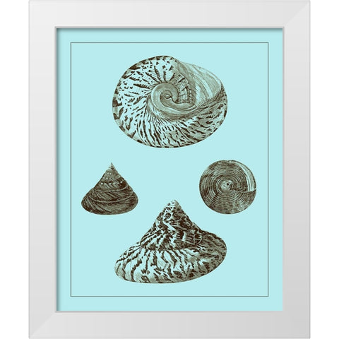 Tinted Shells on Aqua IV White Modern Wood Framed Art Print by Vision Studio