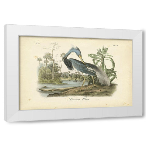 Audubons Louisiana Heron White Modern Wood Framed Art Print by Audubon, John James