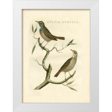 Nozeman Birds II White Modern Wood Framed Art Print by Nozeman