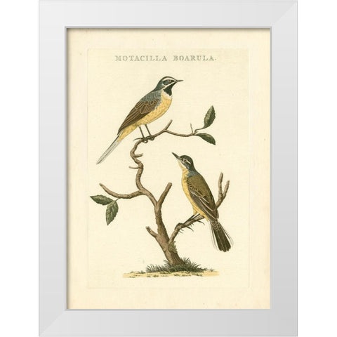 Nozeman Birds III White Modern Wood Framed Art Print by Nozeman