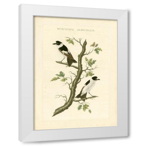 Nozeman Birds IV White Modern Wood Framed Art Print by Nozeman