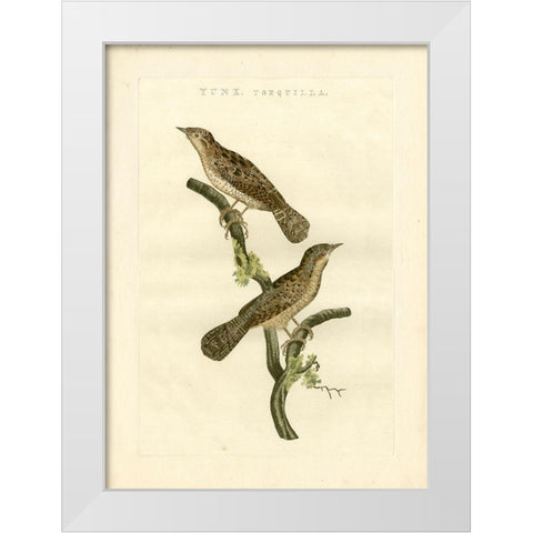 Nozeman Birds V White Modern Wood Framed Art Print by Nozeman