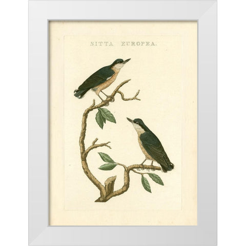 Nozeman Birds VI White Modern Wood Framed Art Print by Nozeman