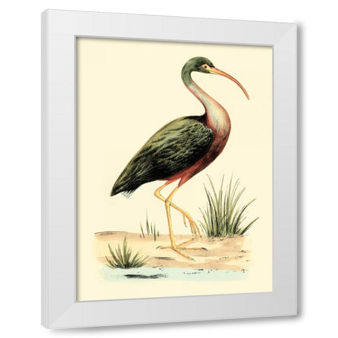 Water Birds I White Modern Wood Framed Art Print by Meyer, H.L.
