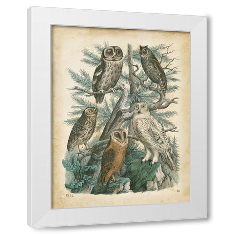 Natures Gathering III White Modern Wood Framed Art Print by Wiek, John