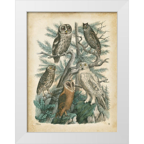 Natures Gathering III White Modern Wood Framed Art Print by Wiek, John