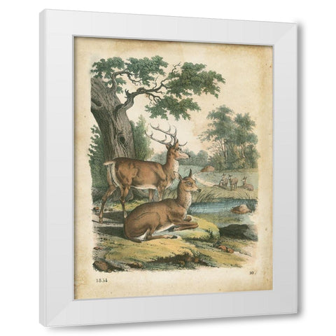 Natures Gathering IV White Modern Wood Framed Art Print by Wiek, John