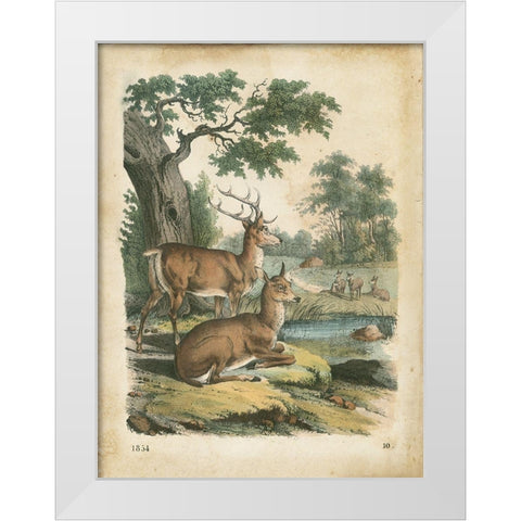 Natures Gathering IV White Modern Wood Framed Art Print by Wiek, John