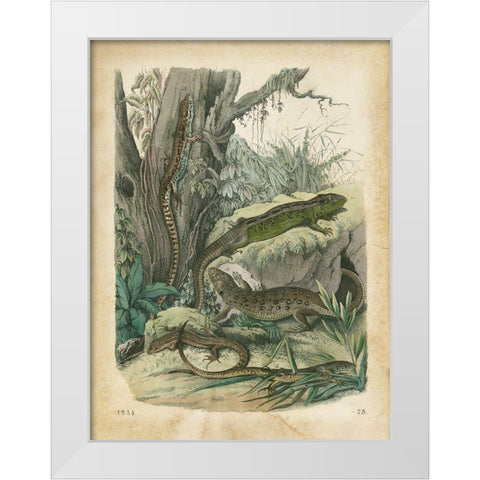 Natures Gathering V White Modern Wood Framed Art Print by Wiek, John