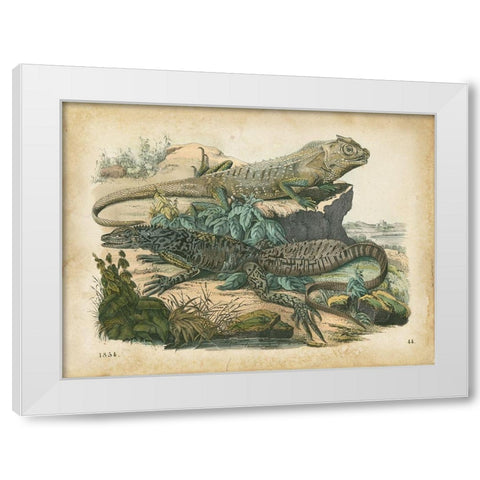 Natures Gathering VI White Modern Wood Framed Art Print by Wiek, John