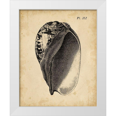 Vintage Diderot Shell IV White Modern Wood Framed Art Print by Vision Studio