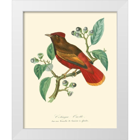 Nature Jardin II White Modern Wood Framed Art Print by Curmer, L.