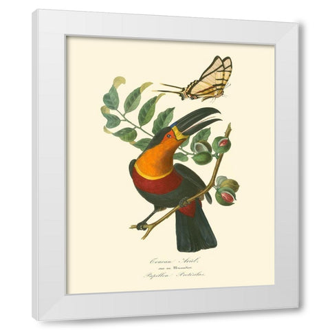 Nature Jardin III White Modern Wood Framed Art Print by Curmer, L.