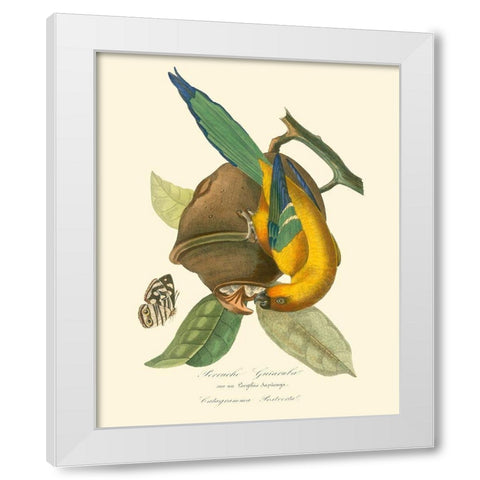 Nature Jardin IV White Modern Wood Framed Art Print by Curmer, L.