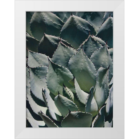 Agave I White Modern Wood Framed Art Print by Perry, Rachel
