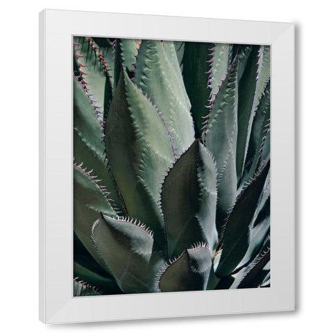 Agave II White Modern Wood Framed Art Print by Perry, Rachel