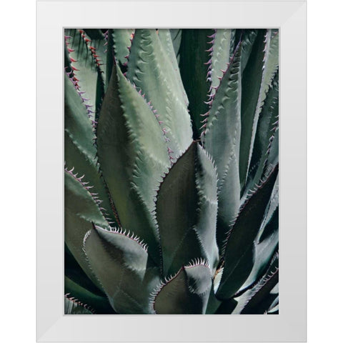 Agave II White Modern Wood Framed Art Print by Perry, Rachel
