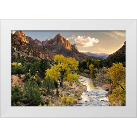 Brilliant View II White Modern Wood Framed Art Print by Chester, Colby