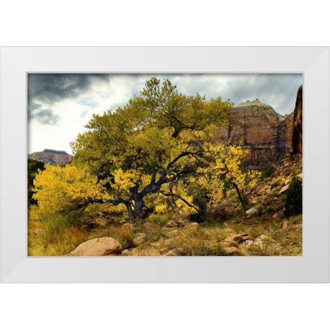 Brilliant View III White Modern Wood Framed Art Print by Chester, Colby