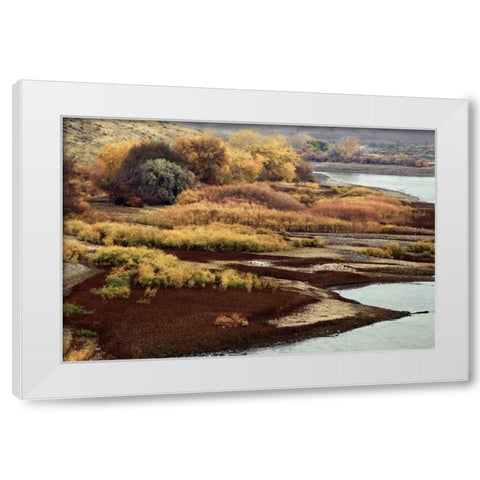 Brilliant View IV White Modern Wood Framed Art Print by Chester, Colby