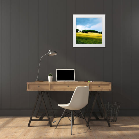 Larrissingle I White Modern Wood Framed Art Print by Chester, Colby