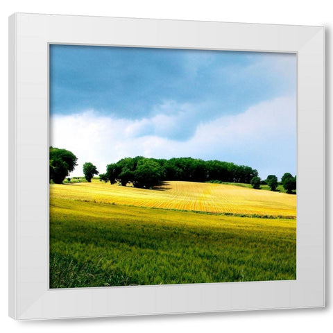 Larrissingle I White Modern Wood Framed Art Print by Chester, Colby