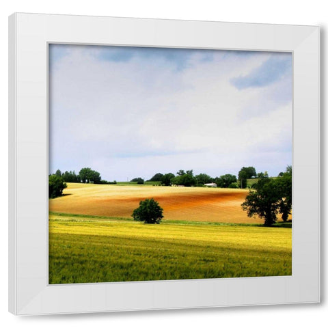 Larrissingle II White Modern Wood Framed Art Print by Chester, Colby