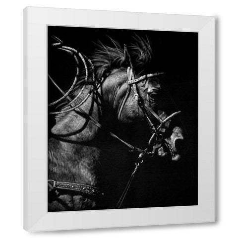 In Pursuit White Modern Wood Framed Art Print by Chapman, Julie T.