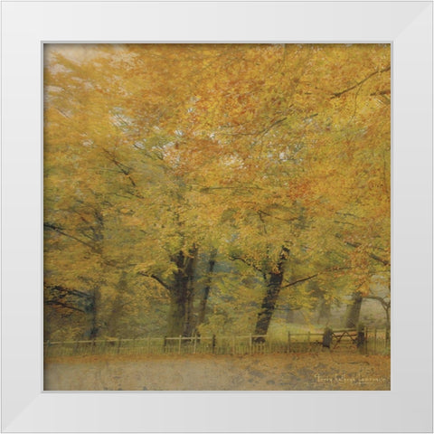 English Countryside I White Modern Wood Framed Art Print by Lawrence, Terry Katherine