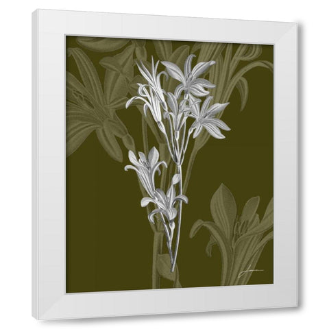 Jewel Stems II White Modern Wood Framed Art Print by Burghardt, James