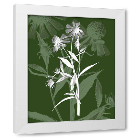 Jewel Stems III White Modern Wood Framed Art Print by Burghardt, James