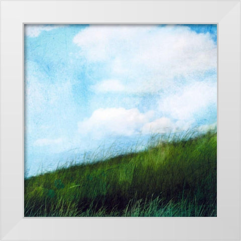 Bright Field II White Modern Wood Framed Art Print by Blixt, Ingrid
