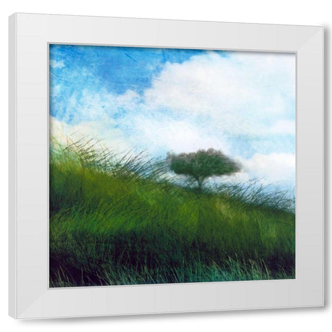 Bright Field IV White Modern Wood Framed Art Print by Blixt, Ingrid