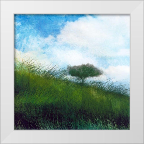 Bright Field IV White Modern Wood Framed Art Print by Blixt, Ingrid