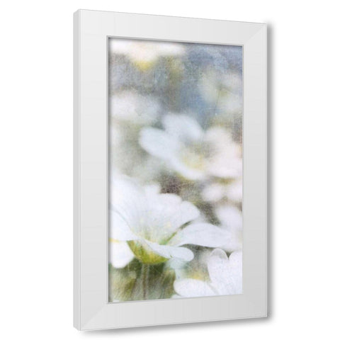 Looking Glass I White Modern Wood Framed Art Print by Blixt, Ingrid