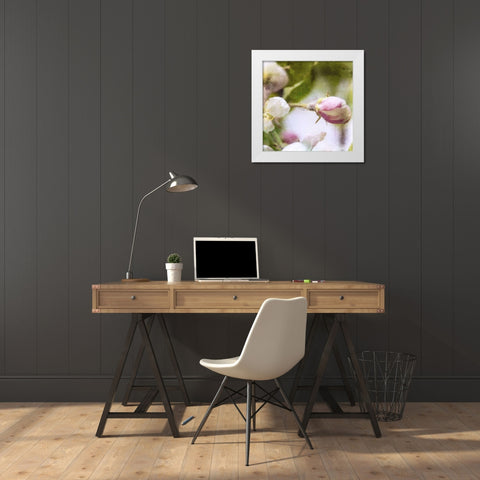 Apple Blossom I White Modern Wood Framed Art Print by Open Journey