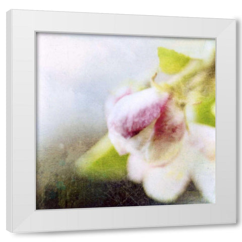 Apple Blossom II White Modern Wood Framed Art Print by Open Journey