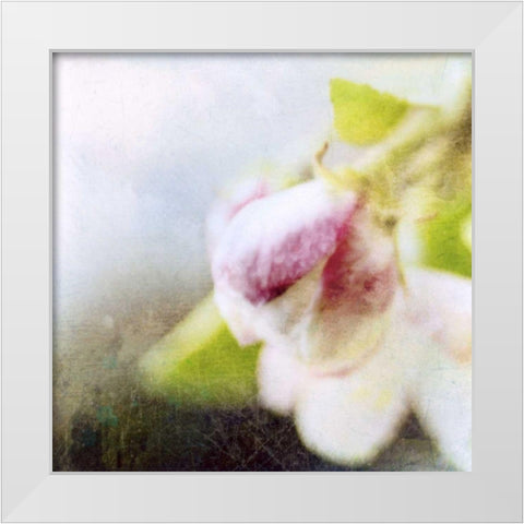 Apple Blossom II White Modern Wood Framed Art Print by Open Journey